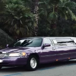 Limusina Lincoln fucsia rosa vista lateral derecha