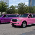 Pack de 2 limusinas en Barcelona, lila y rosa, para 20 personas en promoción