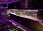 Interior limusina lila Barcelona con barra de bebidas y ambiente de fiesta